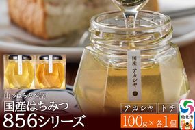 856シリーズ 国産 アカシヤ・トチ 100g 各1個 山のはちみつ屋 [はちみつ ハチミツ 蜂蜜 栃 とち アカシア]|02_bsk-200101