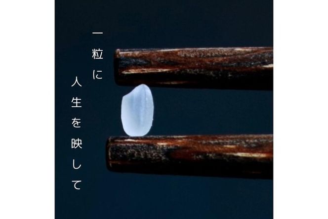 令和6年産 新米 京都府産 キヌヒカリ 玄米 10kg ｜ 米 お米 コメ 玄米 ごはん ご飯 京都丹波米 ※北海道・沖縄・離島への配送不可