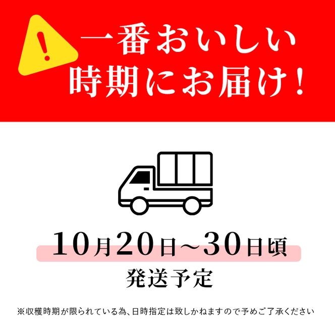 【2026年発送】志賀高原の麓で育った シナノスイート （家庭用）約10kg りんご 10kg フルーツ 果物 長野県 長野