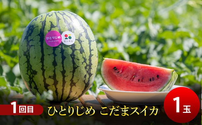 【夏ふらのスイカ連続定期便 全2回】2026年夏発送 こだまスイカ×1玉 大玉スイカ(Lサイズ) 夏大地×1玉 北海道 富良野産 すいか 西瓜 夏 フルーツ ふらの 甘い 糖度 大玉 ギフト (畠山農園）