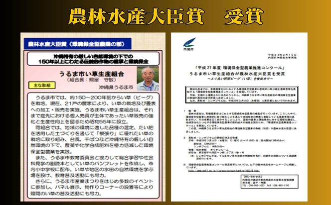 寝ゴザ　い草マット【照間ビーグ】80cm×190cm