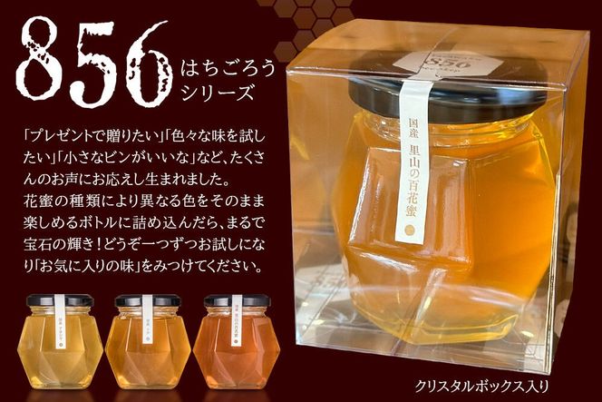 856シリーズ 国産 アカシヤ・トチ・里山 100g 各1個 山のはちみつ屋 [はちみつ ハチミツ 蜂蜜 栃 とち アカシア]|02_bsk-190101