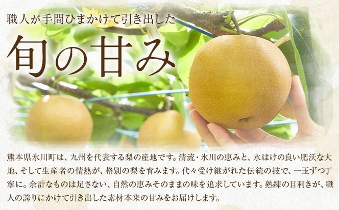 先行予約 旬 梨 フルーツ 豊水梨 約2kg 豊水 株式会社エフビーネット《8月中旬-9月上旬頃出荷》熊本県 氷川町 熊本県 氷川町産 なし ナシ 旬の梨 果物 くだもの スイーツ---hkw_efn_4_2kg---