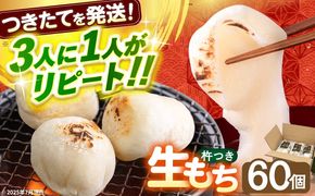 築上町産 本格 杵つき 生もち 60個 (10個×6パック)《築上町》【アルク農業サービス合同会社】 餅 お餅 もち [ABAB001]