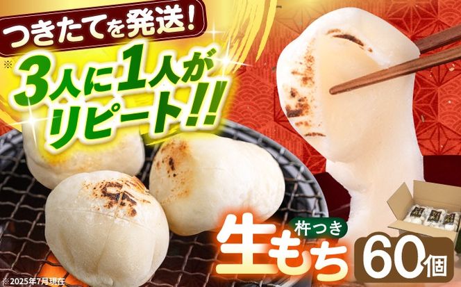 築上町産 本格 杵つき 生もち 60個 (10個×6パック)《築上町》【アルク農業サービス合同会社】 餅 お餅 もち [ABAB001]