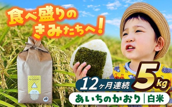 【12回定期便】あいちのかおり　白米　5kg　お米　ご飯　愛西市／株式会社戸倉トラクター[AECS006]