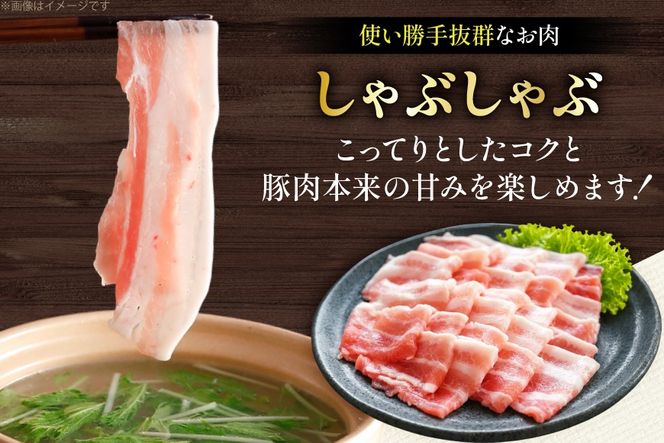 AK034 豚バラ しゃぶしゃぶ用 500g 2パック 計1kg [ 豚肉 小分け バラ肉 ぶた しゃぶしゃぶ 薄切り スライス BBQ バーベキュー 焼肉 アウトドア 1キロ スターゼン 長崎県 島原市 ]