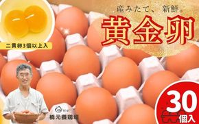 産みたて 新鮮卵 30個入り ※二黄卵3個以上入り！ / 卵 たまご 玉子 鶏卵 新鮮 濃厚 生卵 健康 産地直送