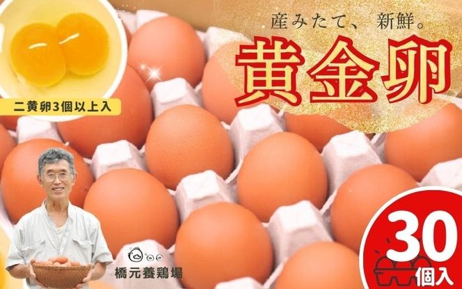 産みたて 新鮮卵 30個入り ※二黄卵3個以上入り！ / 卵 たまご 玉子 鶏卵 新鮮 濃厚 生卵 健康 産地直送