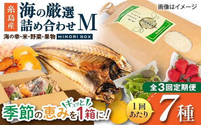 【全3回定期便】糸島産 魚 米 野菜 果物 厳選詰め合わせ MINORI BOX Mサイズ 糸島市 / emma.Inc / 米 魚 野菜 果物 詰め合わせ[AOP024]
