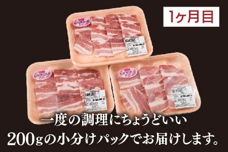【3カ月定期便】肥前さくらポーク 焼肉・しゃぶしゃぶ・ブロック 計1.95kg【豚肉 やわらかい 甘み 小分け スライス ブロック ブランド肉 佐賀県 美味しい キメ細かい】(H123116)