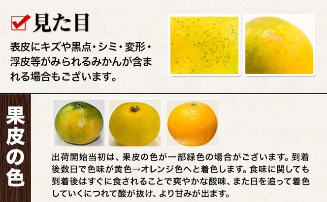 訳あり みかん 小玉みかん くまもと小玉みかん 2.5kg (2.5kg×1箱) 秋 旬 不揃い 傷 ご家庭用 SDGs 小玉 たっぷり 熊本県 産 S-3Sサイズ フルーツ 旬 柑橘 長洲町 温州みかん《10月下旬-11月中旬頃出荷》---fn_nkomikan_h10_24_4500_2500g---