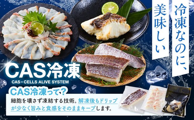活〆 真鯛 塩焼き  100g × 5パック 304018_C019