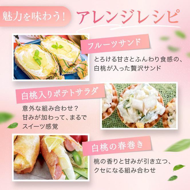 桃 2027年 先行予約 赤磐の 白桃 約2.0kg 6～8玉 JA晴れの国 糖度センサー選果 もも モモ 岡山県 赤磐市産 国産 フルーツ 果物 ギフト デザート 果肉 
