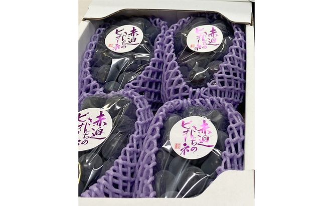 ぶどう ニュー ピオーネ 2kg  3房～4房 1房 約500g～600g 葡萄 フルーツ 岡山 高梁市産 赤迫農園 2026年 先行予約