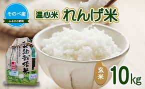 れんげ米10kg 玄米×1 令和7年度産　そのべ産 温心米 お米 単一原料米 こしひかり 丹波 精米 玄米 こめ コメ 京都