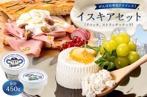 がんばれ中日ドラゴンズ！イスキアセット【中日ドラゴンズコラボ】【0073-084】