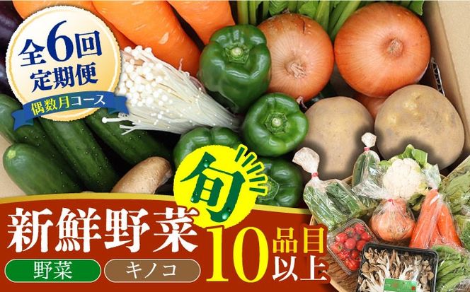 【偶数月コース】野菜 キノコ 10品目以上 詰め合わせ 6回 定期便 / 南島原市 / 吉岡青果 [SCZ006]