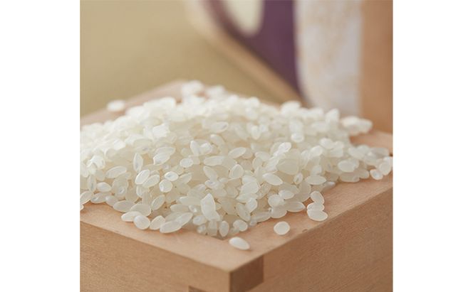  【令和7年度産】加賀百万石特別栽培米コシヒカリ白米10kg 