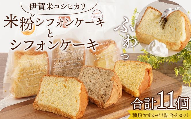 yOdɉszɉăRVqJĕVtHP[LƃVtHP[L 11A\[gli܂j 242161_FC001