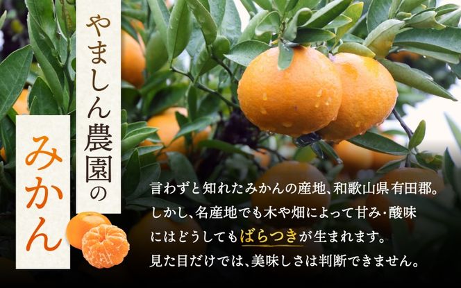 《極》 有田みかん 「プレミアム」 約5kg【選りすぐりの上位20％をお届け！】2S～Lサイズ 有機質肥料100% ※2026年11月～2027年1月上旬頃順次発送 ※北海道・沖縄・離島への配送不可 / ミカン 蜜柑 柑橘 フルーツ くだもの 果物 温州 有田 甘い 高級 贈答品 贈り物 新鮮 【nuk155H】