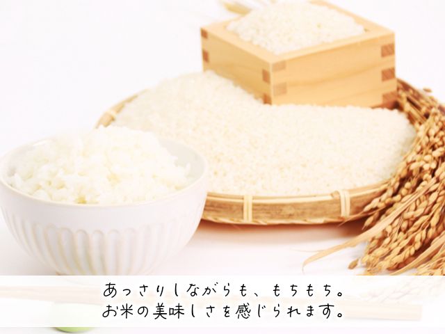 令和7年産 はれわたり 無洗米 10kg(5kg×2) [H.GREENWORK] 青森県 鯵ヶ沢産 / お米 こめ おこめ ごはん 特A 評価 とがずに炊ける 時短 津軽
