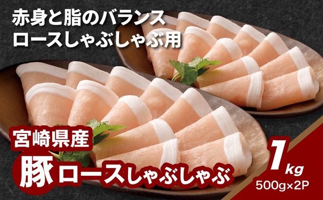 y{茧؏钬z{茧Y؃[XԂԗp 1kg K16_0190