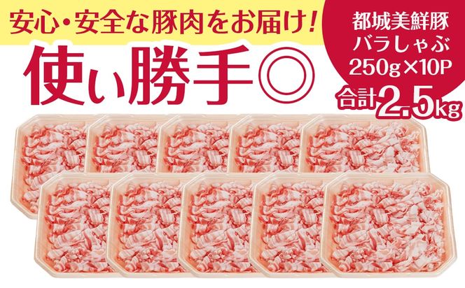 「都城美鮮豚」バラしゃぶ2.5kg_AC-5402_(都城市) 豚肉 ブランド豚 都城美鮮豚 銘柄豚 豚バラしゃぶしゃぶ肉 250g×10パック 2.5kg 炒め物 丼もの
