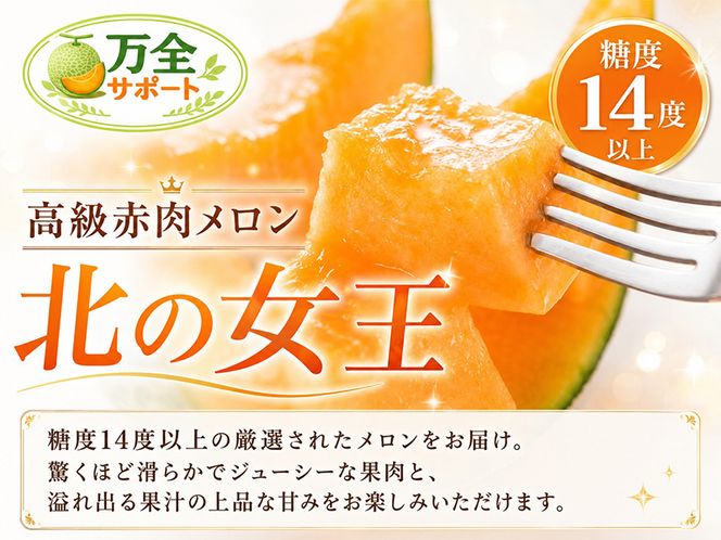 〈先行受付〉【2027年夏発送】北海道 赤肉メロン 北の女王 秀品 約1.6kg×2玉 計約3.2kg 令和9年 メロン 果物 フルーツ 旬 季節 希少 貴重 甘い 豊潤 国産 デザート ご褒美 産地直送 ギフト お祝い 贈答品 贈り物 常温