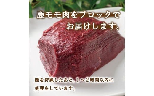 愛南ジビエ の 鹿 モモ 肉 800g （ 200g × 4パック ） シカ 冷凍 真空 パック 国産 天然 鹿肉 精肉 ジビエ肉 カルシウム 低カロリー 低脂肪 高たんぱく ヘルシー コラーゲン 赤身 焼肉 コンフィ ロースト ステーキ 燻製 バーベキュー しょうが焼き カレー 生姜焼き ハンバーグ シュウマイ 餃子 煮込み ポトフ ぼたん鍋 牡丹鍋 鍋セット お鍋 人気 山鯨 愛媛 愛南