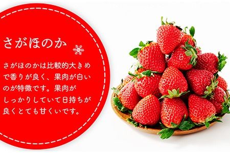 フローズンいちご 1.5kg【フルーツ フローズン ジャム スムージー 冷凍 解凍 練乳 牛乳 砂糖】(H017122)