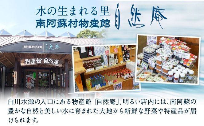 日本名水百選ミネラルウォーター「南阿蘇・白川水源」くまモンボトル 500ml×12本入 2ケース 《30日以内に出荷予定(土日祝除く)》熊本県 南阿蘇村 物産館自然庵 水 ミネラルウォーター---sms_szmwk_30d_12500_12px2---