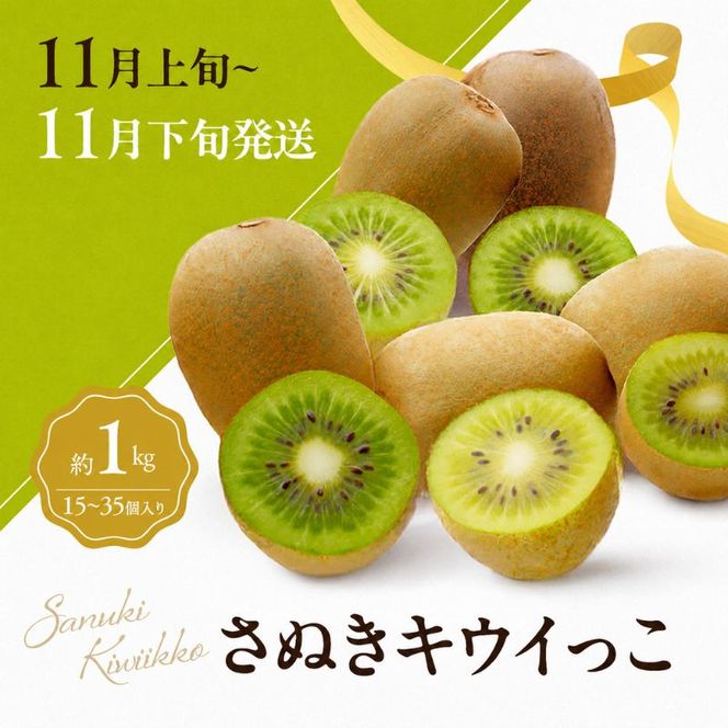 讃岐のキウイ定期便（全3回）【さぬきゴールドキウイ】【さぬきキウイっこ 】【香緑キウイ】