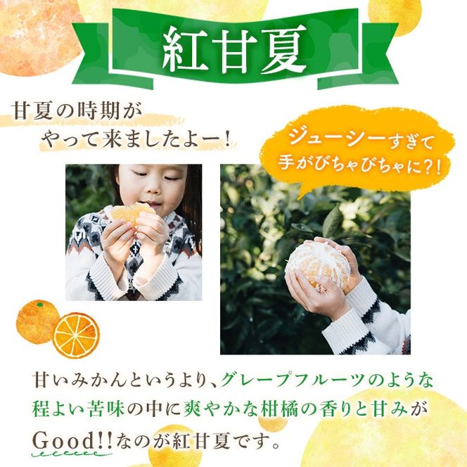 yvszs\tI2026N3{ȍ~\聄ʌIY gÉ (10kgE2L) k t[c ʕ Y ݂ Ԍ ʌ xjA}ic ~J { yЃChzakn069-10