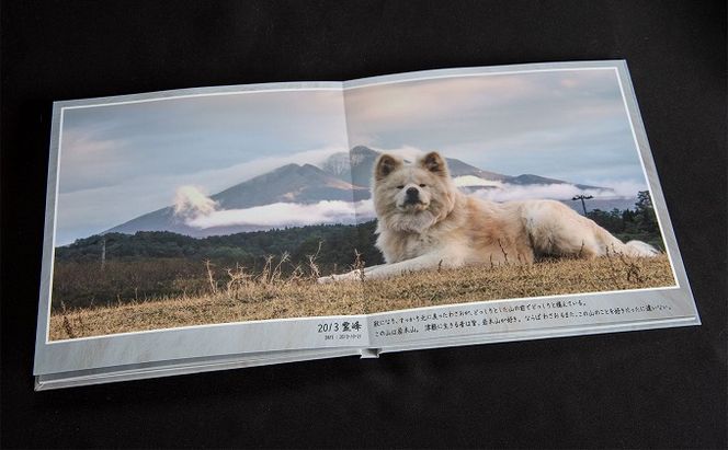 わさおを偲ぶ写真集 オリジナル写真集 