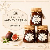 いちじく農家が作るこだわりの無添加いちじくジャム3本セット