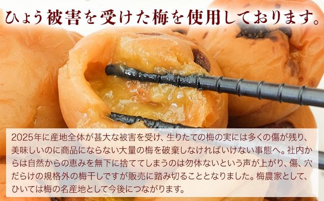 ひょう被害あり昔ながらの梅干し 塩のみで漬けたすっぱい梅干し 約1kg 500g 2パック 農業法人 株式会社紀州梅香《30日以内に出荷予定(土日祝除く)》 和歌山県 日高川町 梅 うめ フルーツ 果物---wshg_kbk4_30d_26_11000_1kg---