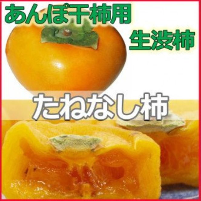 甘さが違う！とっても甘くなる生渋柿（平たねなし柿）あんぽ柿用 T軸枝無 約14.5～15kg　約60～90個＜2026年10月中旬～11月上旬ごろ順次発送＞【art002B】