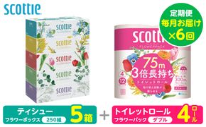 【定期便6回】【毎月お届け】【スコッティ】 組み合わせ ティシュー フラワーボックス 250組 5箱 計30箱 トイレットロール ダブル フラワーパック 3倍長持ち 4ロール 計24ロール ティッシュ トイレットペーパー 日用品 防災備蓄 ストック 備蓄 新生活 防災 消耗品 生活用品 日用消耗品 箱ティッシュ 熊本県 八代市