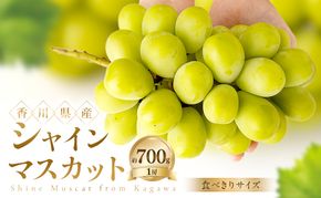 【食べきりサイズ】 シャインマスカット 約700g ぶどう ブドウ 葡萄 香川県産 国産 フルーツ 果物