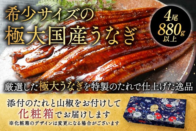 （6月）国産 極大 特上うなぎ(220g×4尾)【OT000OD40_006】
