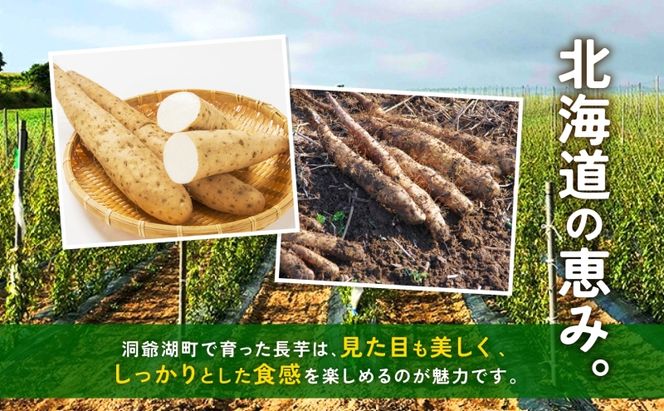 北海道産 青野農園 土つき 長いも 約5kg 5～7本 2026年11月下旬～1月中旬ごろお届け 先行予約 ながいも 土付き 北海道 長芋 自然薯 とろろ いも イモ 旬 野菜 農作物 産地直送 お取り寄せ 根菜