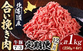 【定期便 12ヶ月連続】北海道産 合い挽き肉 合計1kg（牛7：豚3） 濃厚旨みひき肉｜挽肉 挽き肉 ひき肉です 合挽肉 合挽き肉 豚 肉 豚肉 豚肉ミンチ 合挽豚肉 牛 肉 牛肉 牛肉ミンチ 合挽牛肉 合い挽き 小分け 一人暮らし セット おかず ハンバーグ 冷凍 定期便 肉 絶品 人気 ヒロセ 12回定期便 定期便 12回 北海道 釧路町 釧路超 特産品