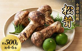 小諸市収穫　松茸　約500g 野菜 きのこ まつたけ マツタケ 山菜