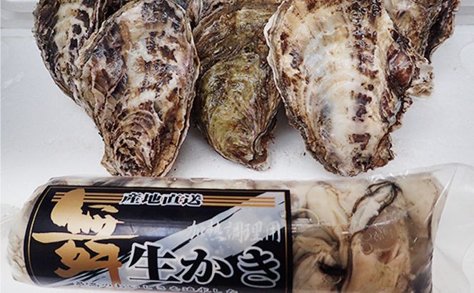 牡蠣 2026年 先行予約 牡蠣むき身 500gと 殻付牡蠣 10個 セット 山銀商店 瀬戸内海虫明湾産 魚介類 カキ かき シーフード 