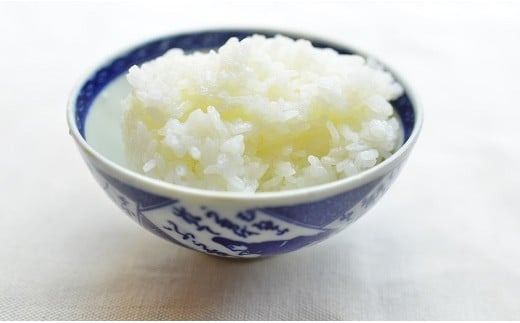 五ツ星お米マイスターが選ぶ！ 備えあれば“へーきなん”です 有事郎 5kg 無洗米 真空パック こだわりのブレンド米 真空保存 手軽 節水 防災 備蓄食 長期 食べられるお守り 備蓄 備蓄米 コメ 白米 精米 H056-136