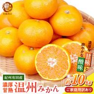 【2026年先行予約】紀州 有田産 濃厚甘熟 温州みかん 約10kg 【家庭用 訳あり】 _G7379