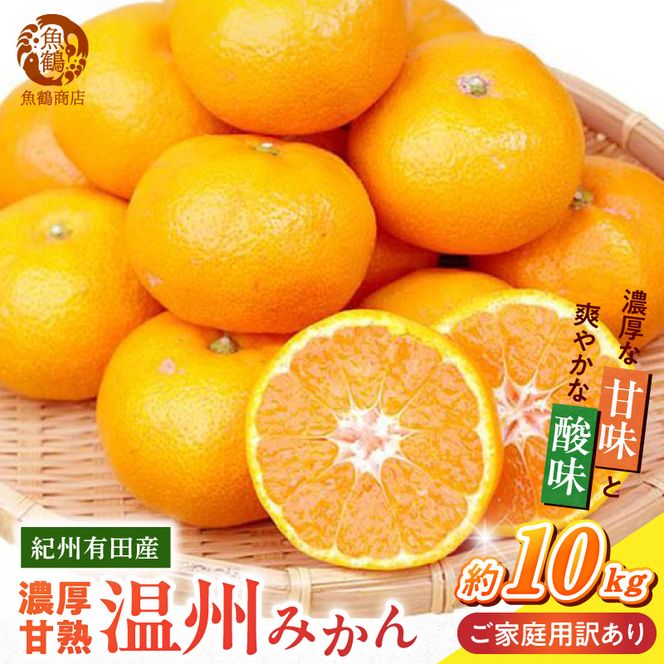 【2026年先行予約】紀州 有田産 濃厚甘熟 温州みかん 約10kg 【家庭用 訳あり】 _G7379