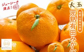 【果汁たっぷり】迫力満点！ 大粒 完熟有田みかん 家庭用 サイズ混合(2L～4L)　約10.2kg(10kg+200g)【2026年11月中旬～1月中旬頃に順次発送予定】【ard055D】