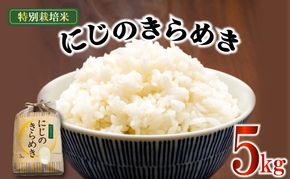 新米 米 にじのきらめき 5kg 農家直送 特別栽培米 精米 令和6年度産 お米 新生活 贈り物 人気米 ご飯 白米 コメ 贈答 静岡県 藤枝市